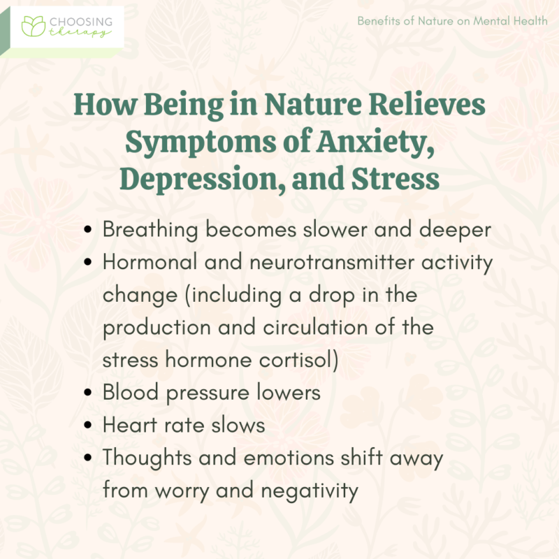 Benefits of Nature on Mental Health - Choosing Therapy