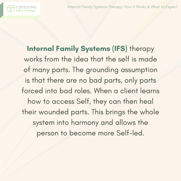 Internal Family Systems Therapy: How It Works & What to Expect