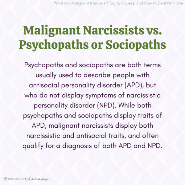 10 Signs You Are Dealing with a Malignant Narcissist