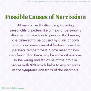 10 Signs You Are Dealing with a Malignant Narcissist