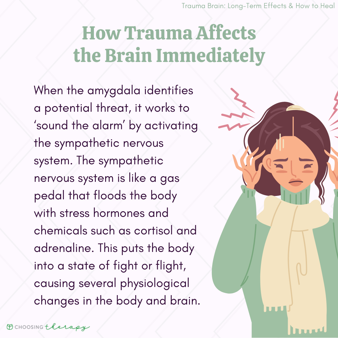How Trauma Affects The Brain Trauma Informed Healing - vrogue.co