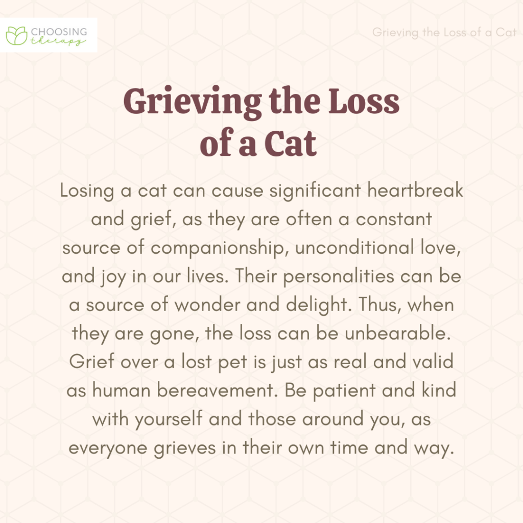 How Can Losing a Cat Cause Grief?