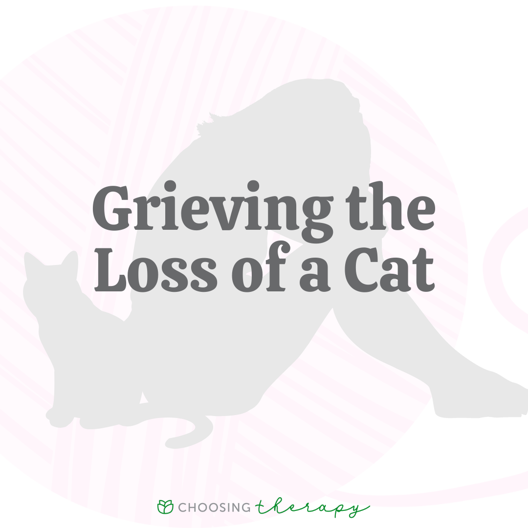 how-can-losing-a-cat-cause-grief