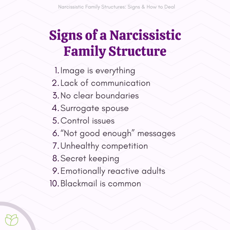 10 Signs Of A Narcissistic Family System   4 7 800x800 