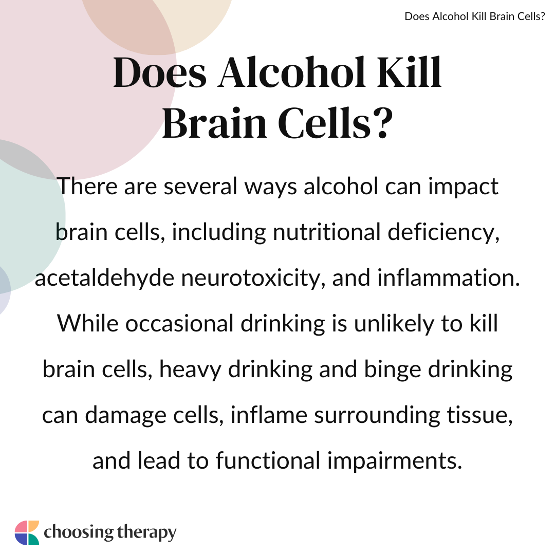 Does Drinking Kill Brain Cells