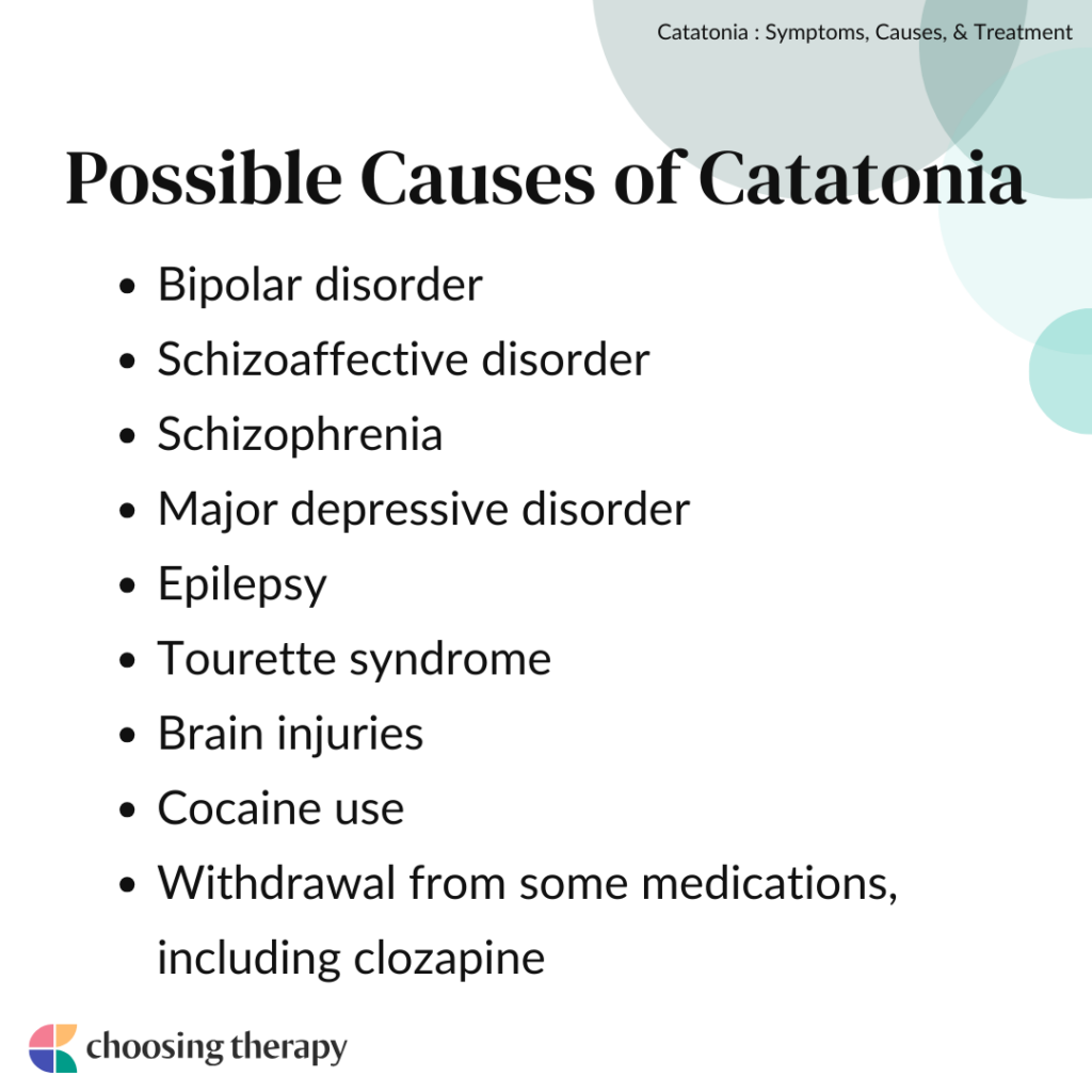 What is Catatonia?